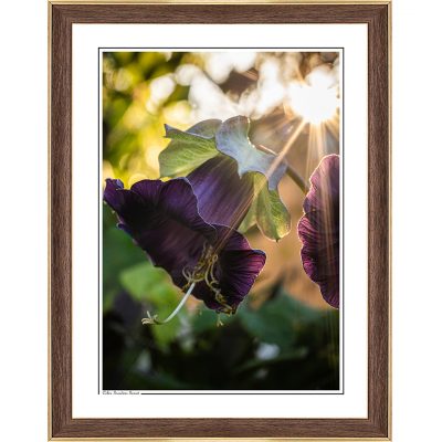 modern interior, cozy interior, photoart, photography art, fine art print, fine art, follow the sun photography