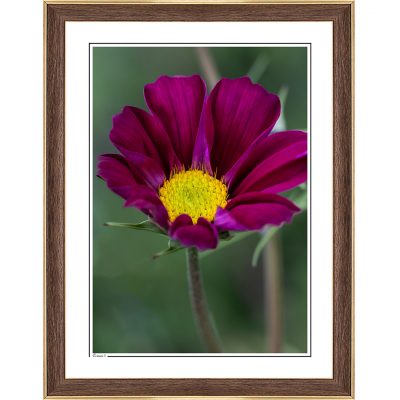 modern interior, cozy interior, photoart, photography art, fine art print, fine art, follow the sun photography