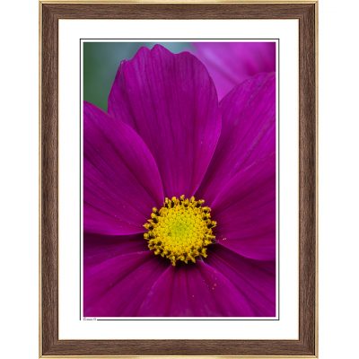 modern interior, cozy interior, photoart, photography art, fine art print, fine art, follow the sun photography