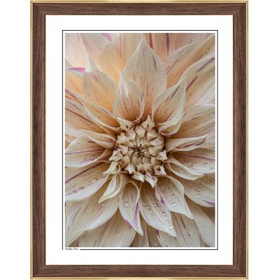 modern interior, cozy interior, photoart, photography art, fine art print, fine art, follow the sun photography