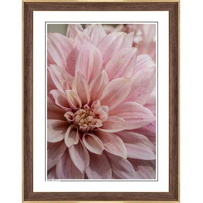 modern interior, cozy interior, photoart, photography art, fine art print, fine art, follow the sun photography