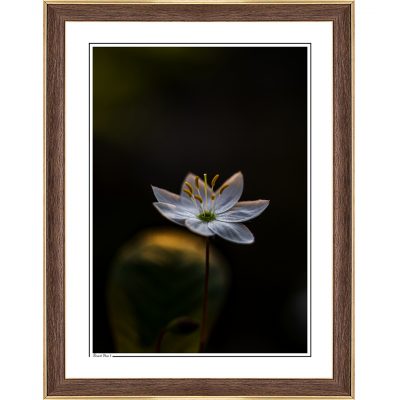 modern interior, cozy interior, photoart, photography art, fine art print, fine art, follow the sun photography