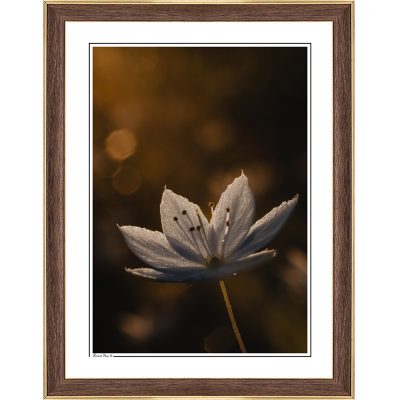 modern interior, cozy interior, photoart, photography art, fine art print, fine art, follow the sun photography