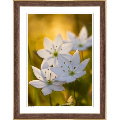 modern interior, cozy interior, photoart, photography art, fine art print, fine art, follow the sun photography