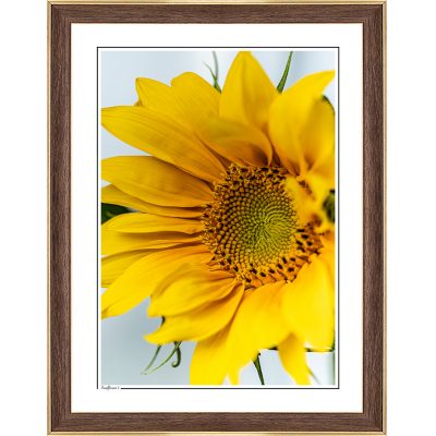 modern interior, cozy interior, photoart, photography art, fine art print, fine art, follow the sun photography
